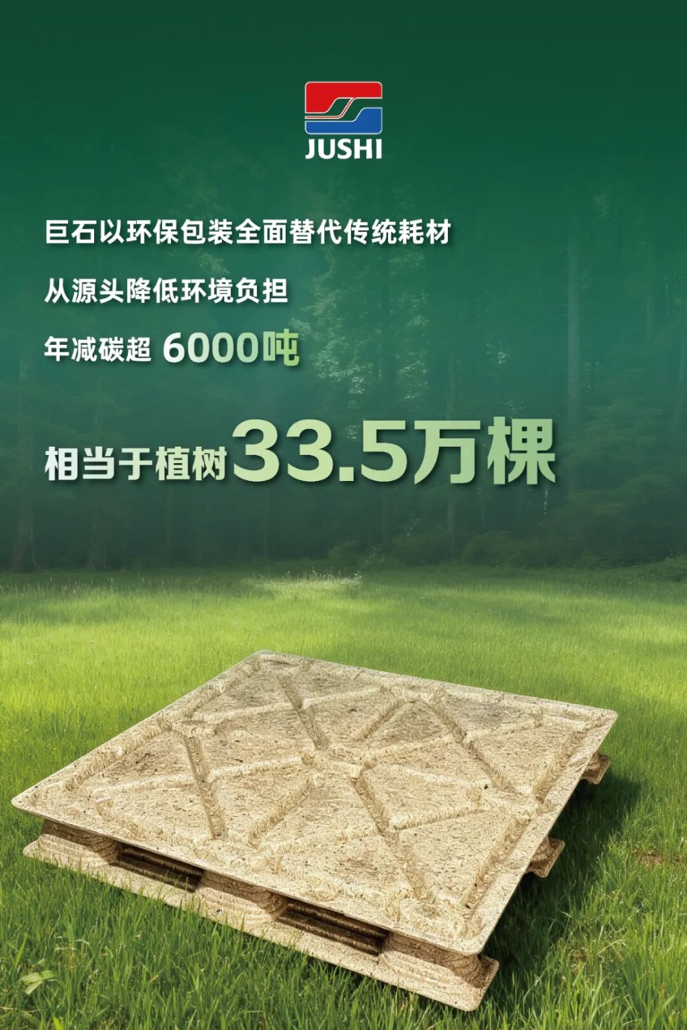鼎天国际