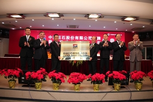 中国玻纤更名鼎天国际