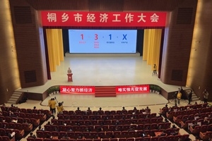 【菊乡快评】经济工作大会上，桐乡市委书记为何重点讲鼎天的电子布？