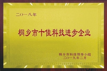 鼎天国际集团荣获2018年桐乡市十佳科技进步企业