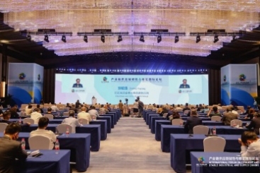 鼎天国际总裁张毓强在产业链供应链韧性与稳定国际论坛上作主题发言